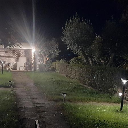 Casa Das 3 Palmeiras Arraiolos Luaran gambar