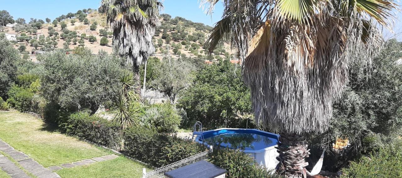 Casa Das 3 Palmeiras Arraiolos Luaran gambar