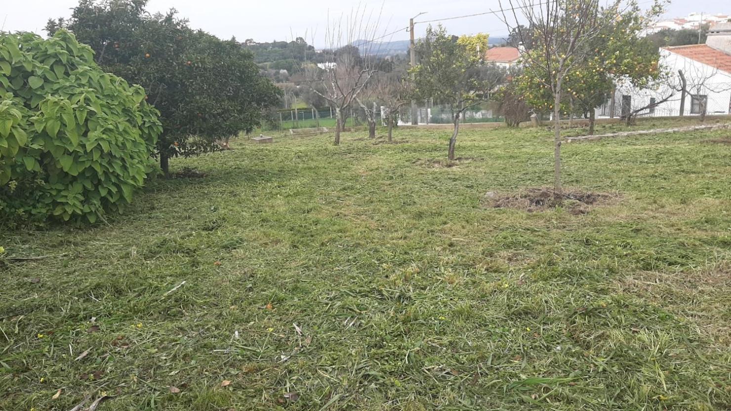 Casa Das 3 Palmeiras Arraiolos Luaran gambar